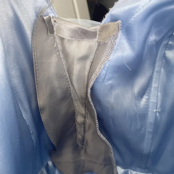 Blue Cinderella Dress - Picture 6 of 8